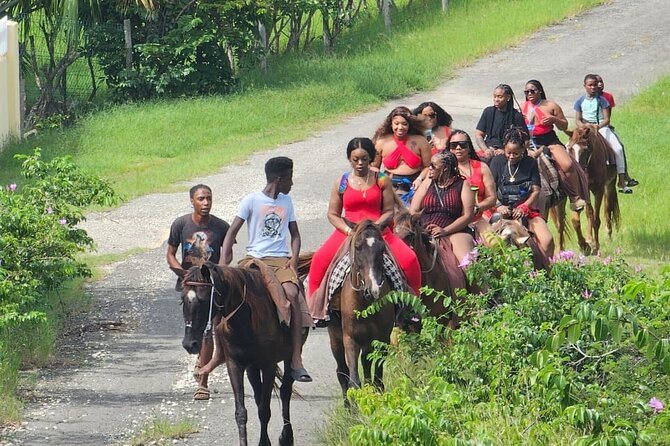 Horseback Riding at Hawksbill Beach in Five islands Antigua - Pickup, timing, and the true cost