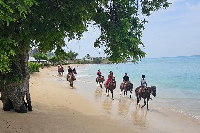 Horseback Riding at Hawksbill Beach in Five islands Antigua - Riding onto Hawksbill Beach