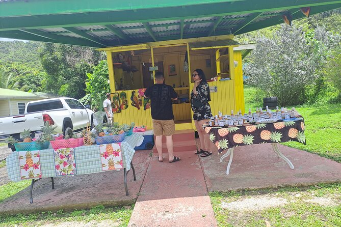 Island Tour - Betty’s Hope puts Antigua’s sugar era in view