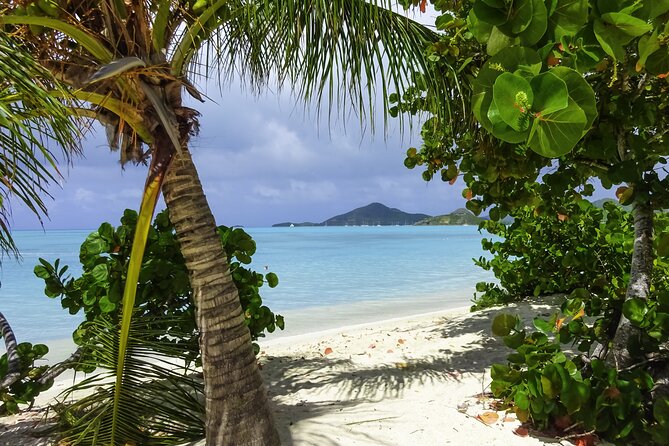 Most Beautiful Beaches of Antigua: Valley-Jolly or Fort-Dickenson - Key points to know before you book