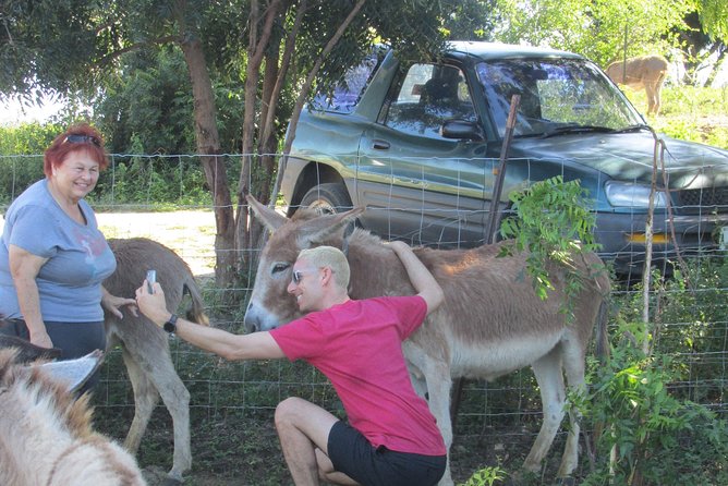 Outback Antigua Tour - Spending time at the donkey sanctuary