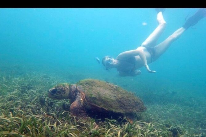 Private Snorkeling and Sightseeing Tour of Antigua - Nelson’s Dockyard gives the tour its historical backbone