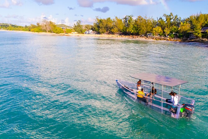 Reef Explorers Transparent Boat and Beach Tour - Who will enjoy this three-hour outing