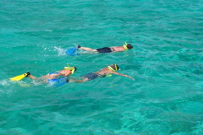 Sail and Snorkel at Cades Reef - The Northern Sail and Caribbean Music