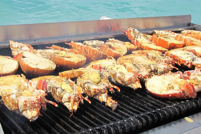 Sail and Snorkel at Cades Reef - What $110 Really Buys You