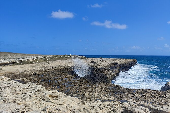 Scenic Full Day Tour of Antigua - Fig Tree Drive through Antigua’s green interior