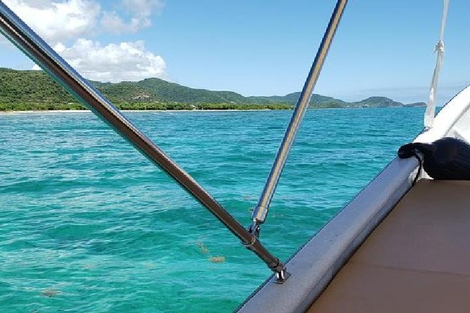 Snorkel and Exclusive Beach Exploration in Antigua - What you may see beneath the boat