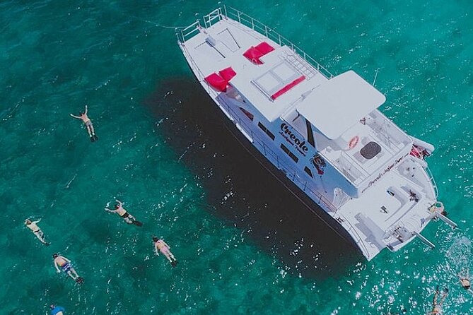 Snorkel - Lobster Lunch Cruise to Bird Island and Paradise Reef - Key things to know before booking