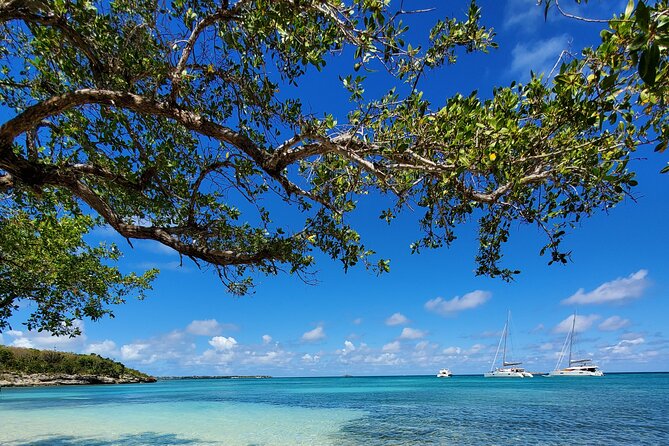 Snorkel - Lobster Lunch Cruise to Bird Island and Paradise Reef - Who will enjoy this Antigua cruise most