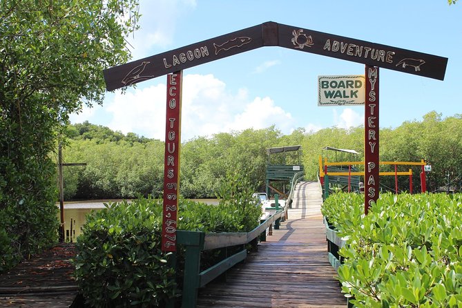 SoCoHo Eco Half Day - Mangrove Kayak & Reef Snorkeling - Returning through the mangrove