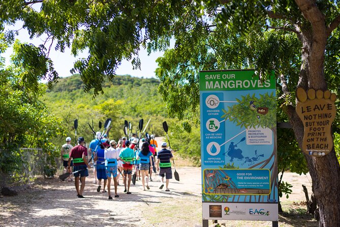 SoCoHo Eco Half Day - Mangrove Kayak & Reef Snorkeling - What the $135 price really covers