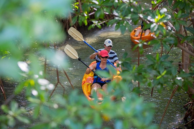 SoCoHo Eco Half Day - Mangrove Kayak & Reef Snorkeling - Who will enjoy this Antigua excursion most