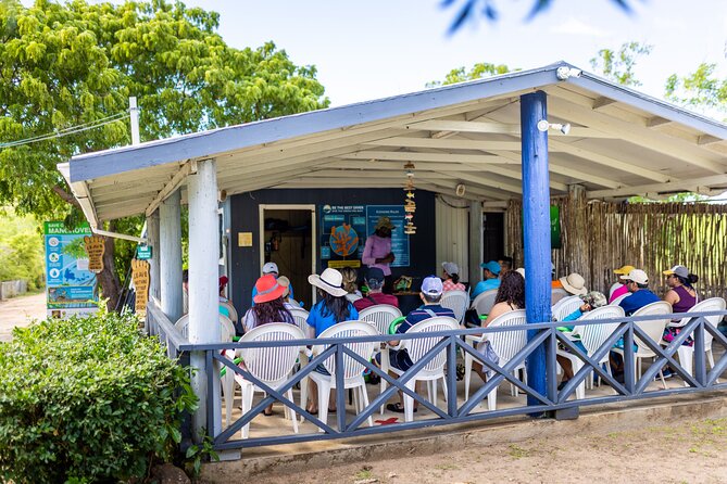 SoCoHo Eco Half Day - Mangrove Kayak & Reef Snorkeling - Practical details that make the day easier