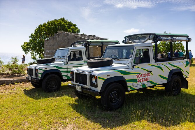 SoCoHo Jeep Safari - Historical Sites - Lunch - Beach - Why this Jeep tour works well on a first day
