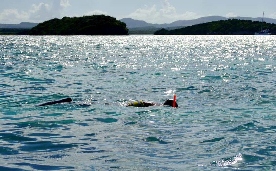 St. John's, Antigua Kayak, Snorkeling, & Beach Bird Island - Key points to know before booking