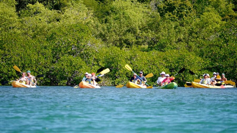 St. John's, Antigua Kayak, Snorkeling, & Beach Bird Island - A fast ride toward Great Bird Island