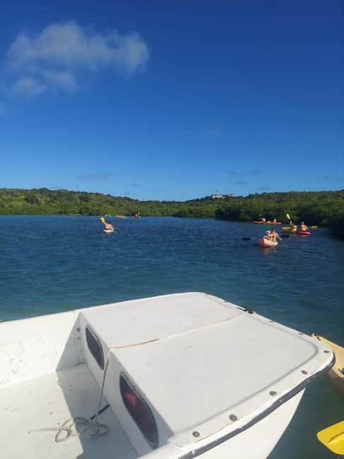 St. John's, Antigua Kayak, Snorkeling, & Beach Bird Island - Thirty minutes above coral and blue tang