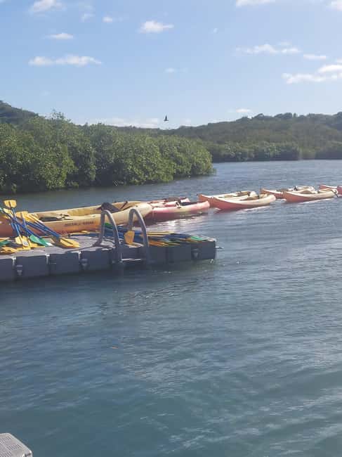 St. John's, Antigua Kayak, Snorkeling, & Beach Bird Island - Who should book this Antigua excursion?