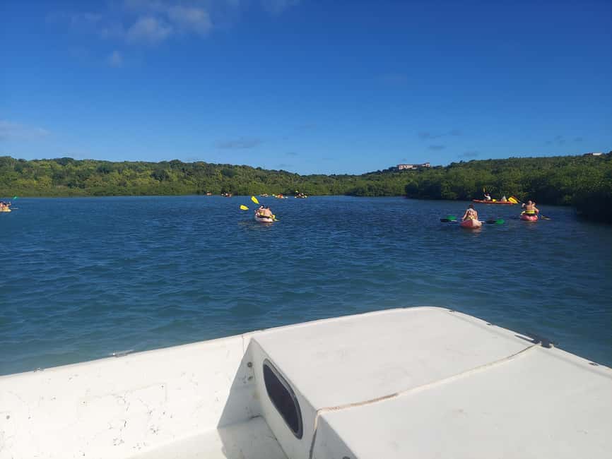 St. John's, Antigua Kayak, Snorkeling, & Beach Bird Island - Practical details that can make the day easier