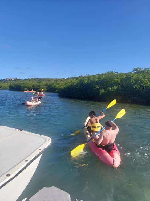 St. John's, Antigua Kayak, Snorkeling, & Beach Bird Island - Forty minutes among the red mangroves