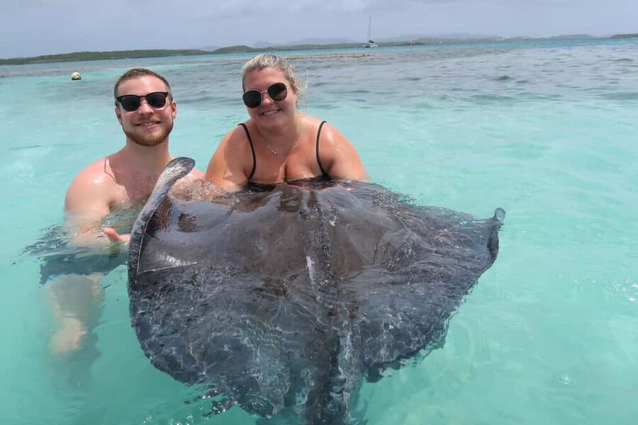 St. John's; Combo Laviscount Island & Swimming with Stingray - Key points to know before booking