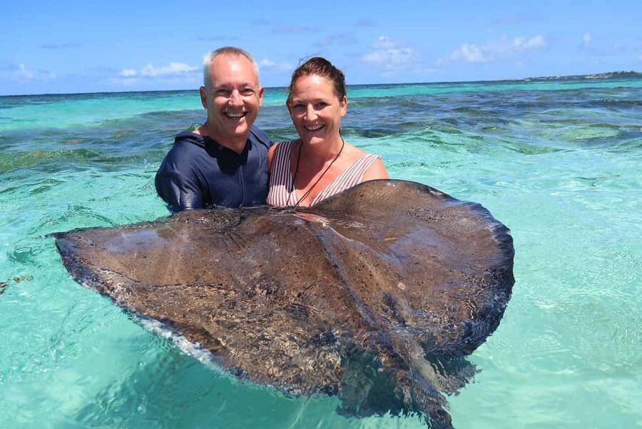 St. John's; Combo Laviscount Island & Swimming with Stingray - Two very different animal encounters in one morning