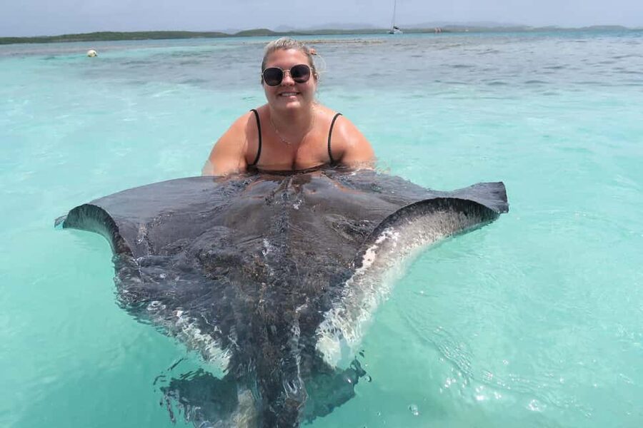 St. John's; Combo Laviscount Island & Swimming with Stingray - Stingray City brings the most active part of the day