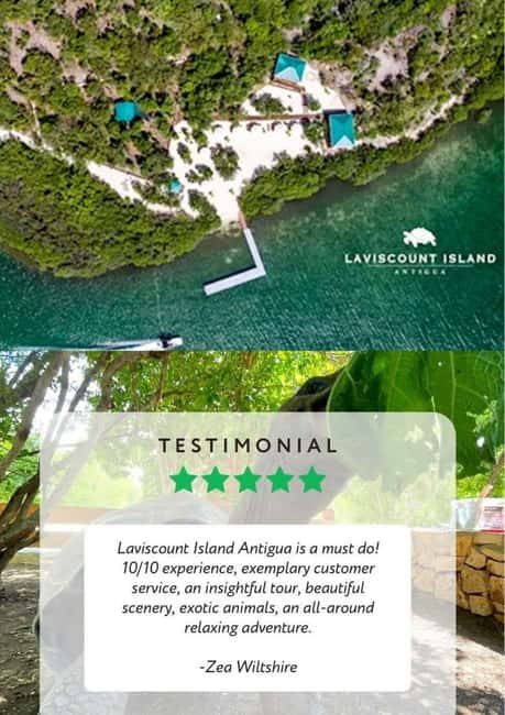 St. John's; Combo Laviscount Island & Swimming with Stingray - Tips for getting more from the four and a half hours
