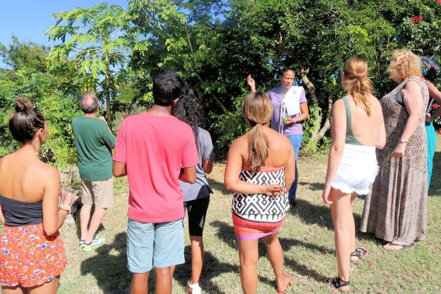 St. John's: Rum Cooking Class with 6 Rum Tastings - Making the starter: sweet potato soup with rum