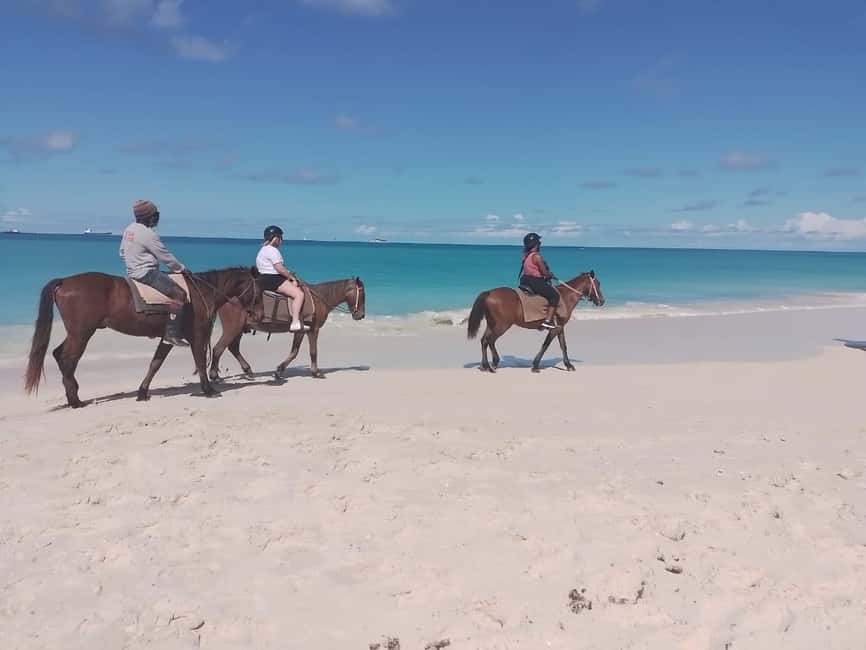 St. Johns: Horseback Riding Bareback Swim, &Fort James Beach - Key points at a glance