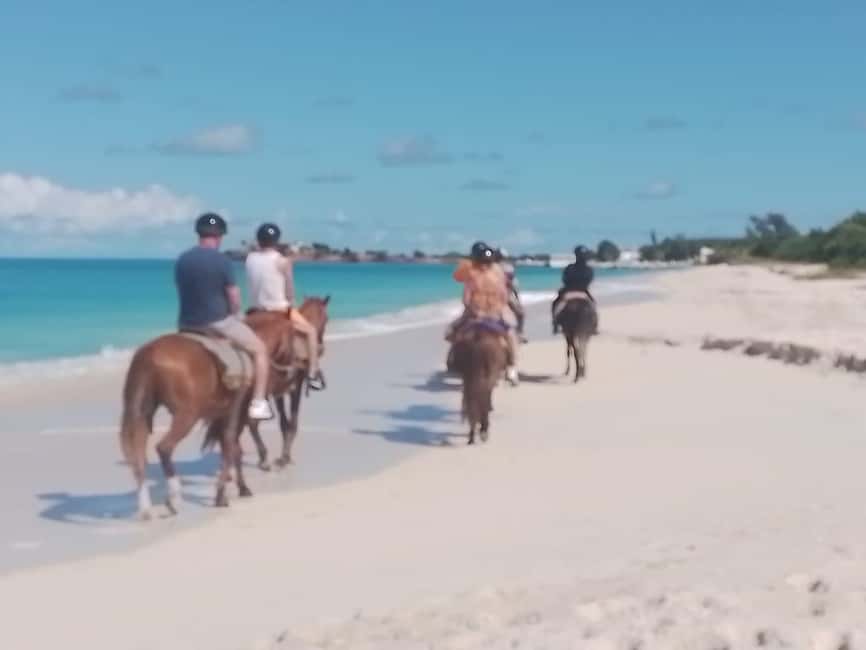 St. Johns: Horseback Riding Bareback Swim, &Fort James Beach - The bareback swim is short but special