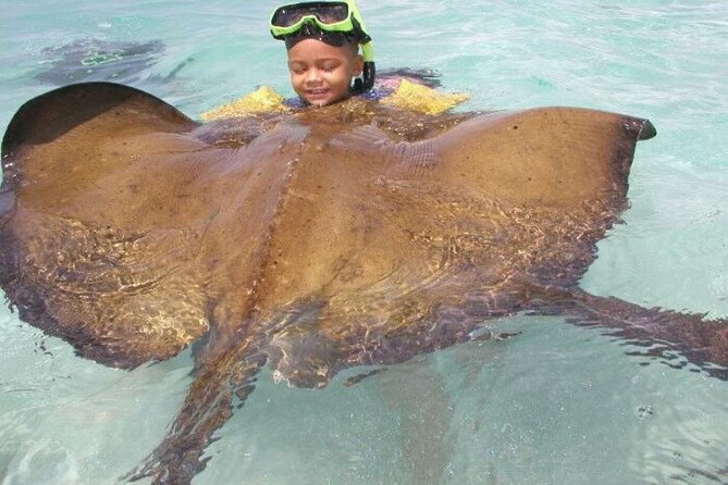 Stingray City - Meeting Antigua’s stingrays in shallow water