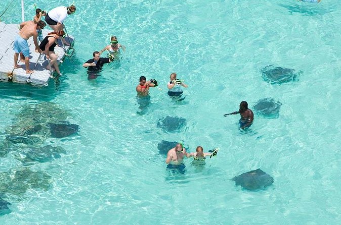 Stingray City - Who will enjoy Stingray City most