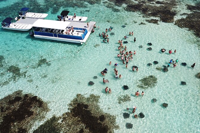 Stingray City Antigua for all the ages - ROUND TRIP INCLUDED - Quick facts worth knowing