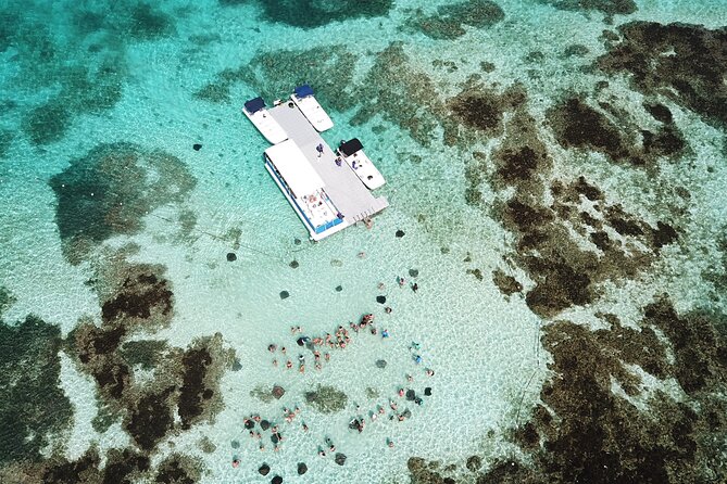 Stingray City Antigua for all the ages - ROUND TRIP INCLUDED - Timing, punctuality, and cancellation rules