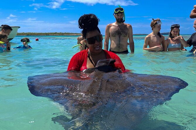 Stingray City Experience Antigua - Cruise Ship Passengers Edition - Meeting stingrays in open, shallow water