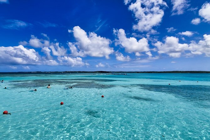 Stingray City Experience Antigua - Cruise Ship Passengers Edition - What the $139.90 price covers