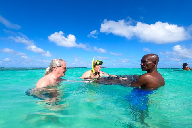 Stingray City Experience Antigua - Cruise Ship Passengers Edition - Who will enjoy this most?