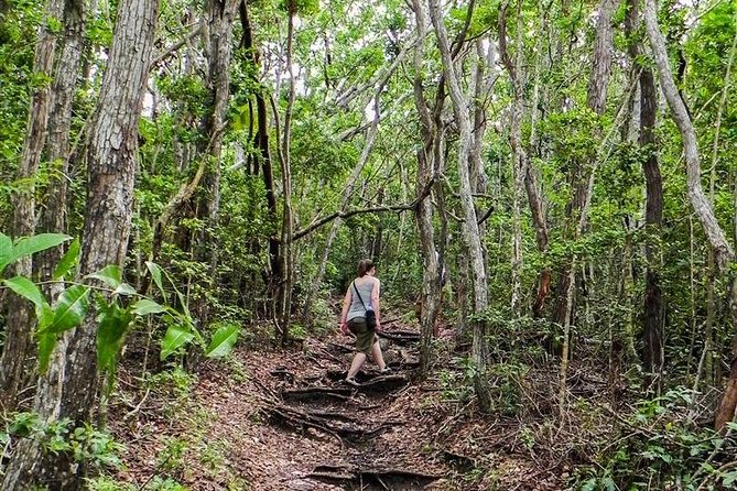 Trek Tours Hiking Experience in Antigua - Booking details worth keeping in mind