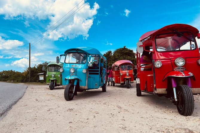 Tuk-Tuk Adventures Rainforest and Beach Hopping Tour - Why the tuk-tuk is a smart way to see Antigua