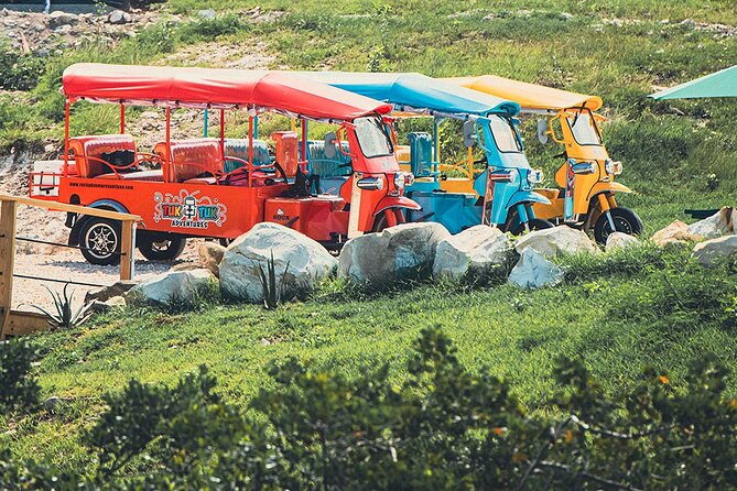 Tuk-Tuk Adventures Rainforest and Beach Hopping Tour - Fruit, roadside vendors, and local shopping