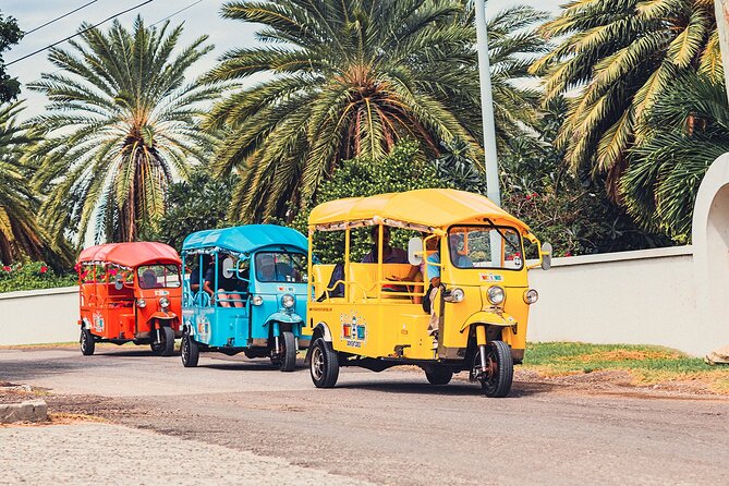 Tuk-Tuk Adventures Rainforest and Beach Hopping Tour - Through Fig Tree Drive and Antigua’s rainforest