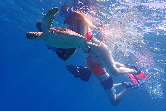Turtle Beach Power Snorkeling Adventure - Getting from St. John’s to Freeman’s Bay