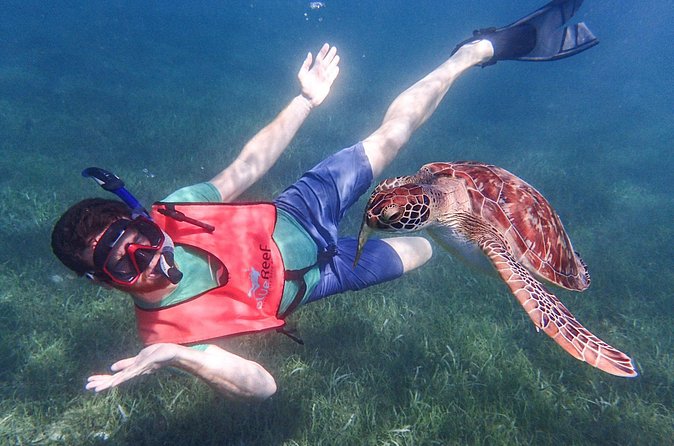 Under the Sea snorkeling(Stingray/Kayak/ Power Snorkel available) - Weather, cancellations, and practical planning